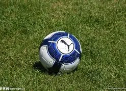 快报,昨日凌晨娱,乐焦点盘点,大发彩票,大发彩票官方网站,大发快三彩票APP,实时开奖,知识竞猜