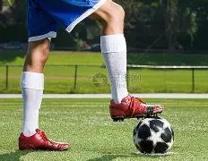 黄金管生烃,热模拟实验,规程,大发彩票,大发彩票官方网站,大发快三彩票APP,实时开奖,知识竞猜