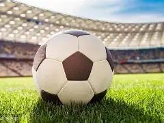 彩界奇才,蛇年限定双,色球,大发彩票,大发彩票官方网站,大发快三彩票APP,实时开奖,知识竞猜