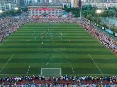 彩界秘籍大,公开,双色球,大发彩票,大发彩票官方网站,大发快三彩票APP,实时开奖,知识竞猜