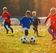 刘棋独家揭,神预测,必中胆码,大发彩票,大发彩票官方网站,大发快三彩票APP,实时开奖,知识竞猜
