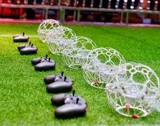 阿旺排列三,期预测,必杀一码,大发彩票,大发彩票官方网站,大发快三彩票APP,实时开奖,知识竞猜