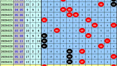 双色球26年026期专家质合分析及前区十码推荐